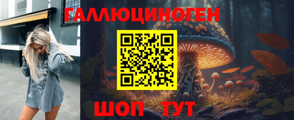 Псилоцибиновые грибы GOLDEN TEACHER  Вход с VPN  Хабаровск 